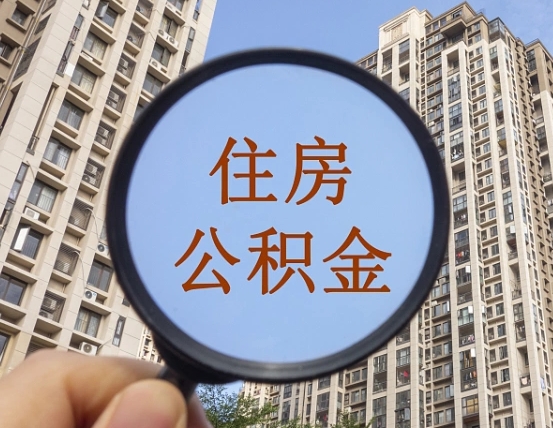 北京退休后查不到公积金明细了吗（退休后公积金查询不到原因）